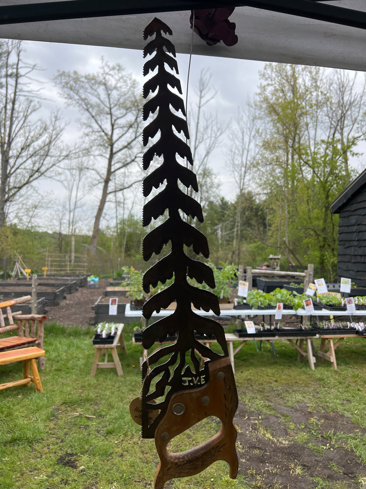Pine Tree Saw