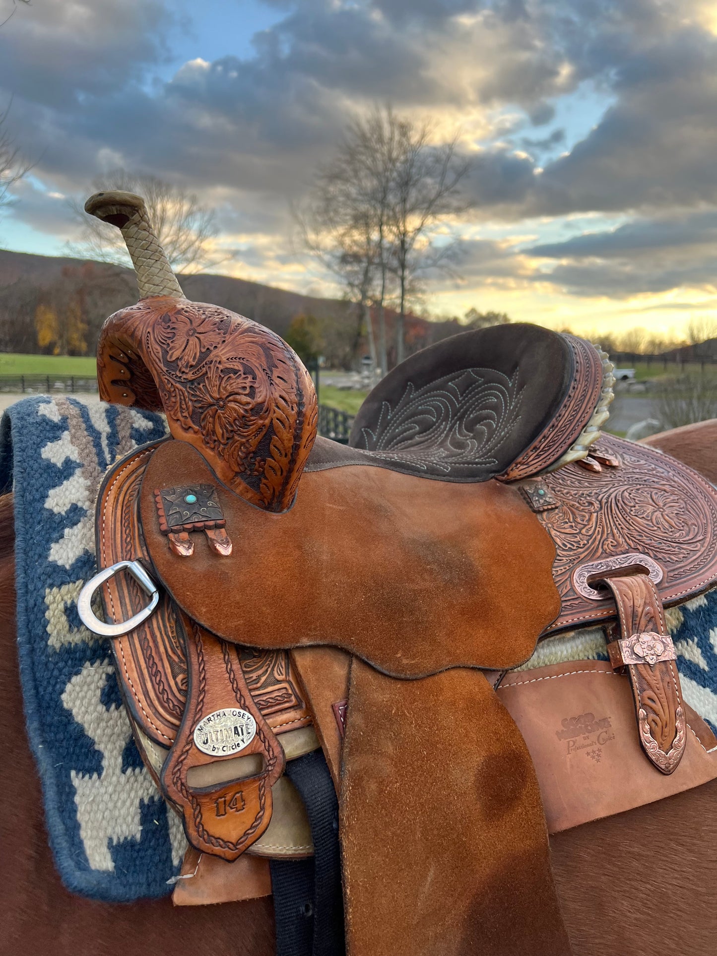 14” Circle Y Martha Josey Ultimate Cash Saddle