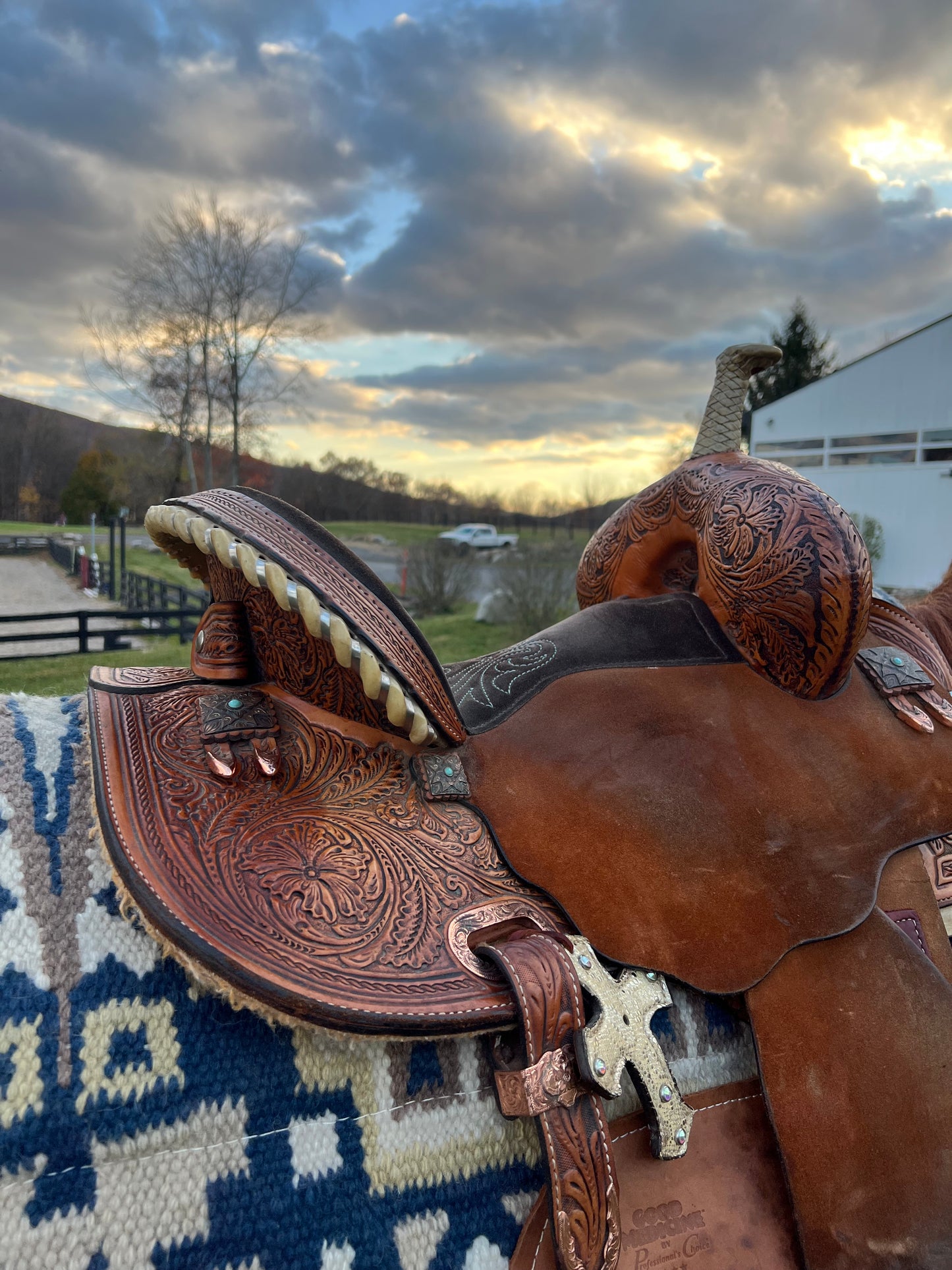 14” Circle Y Martha Josey Ultimate Cash Saddle